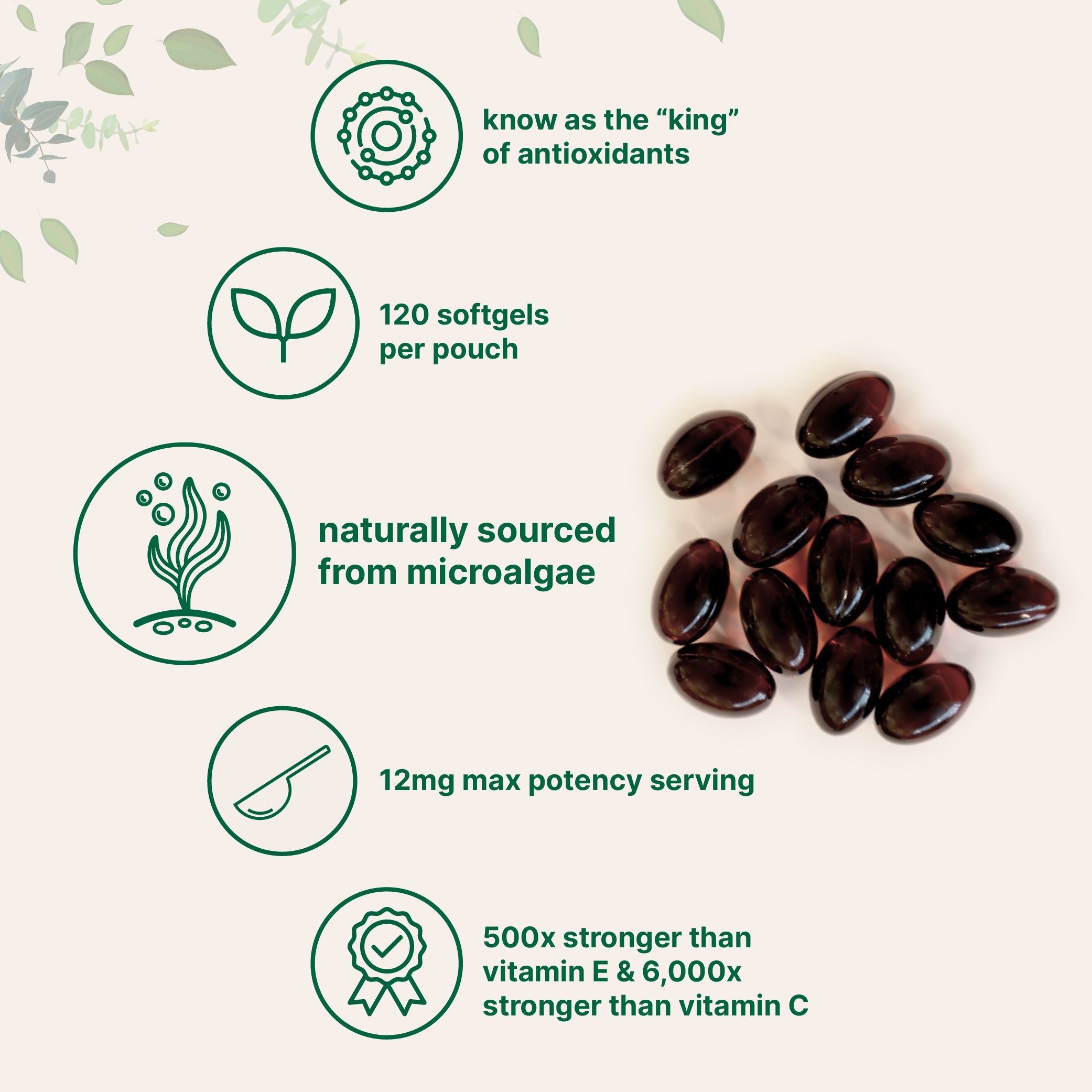 Micro Ingredients Astaxanthin 12mg, 120 softgels, tanning pills, Strength Carotenoids Skin Supplement w. 100% Natural Astaxanthin from MicroAlgae