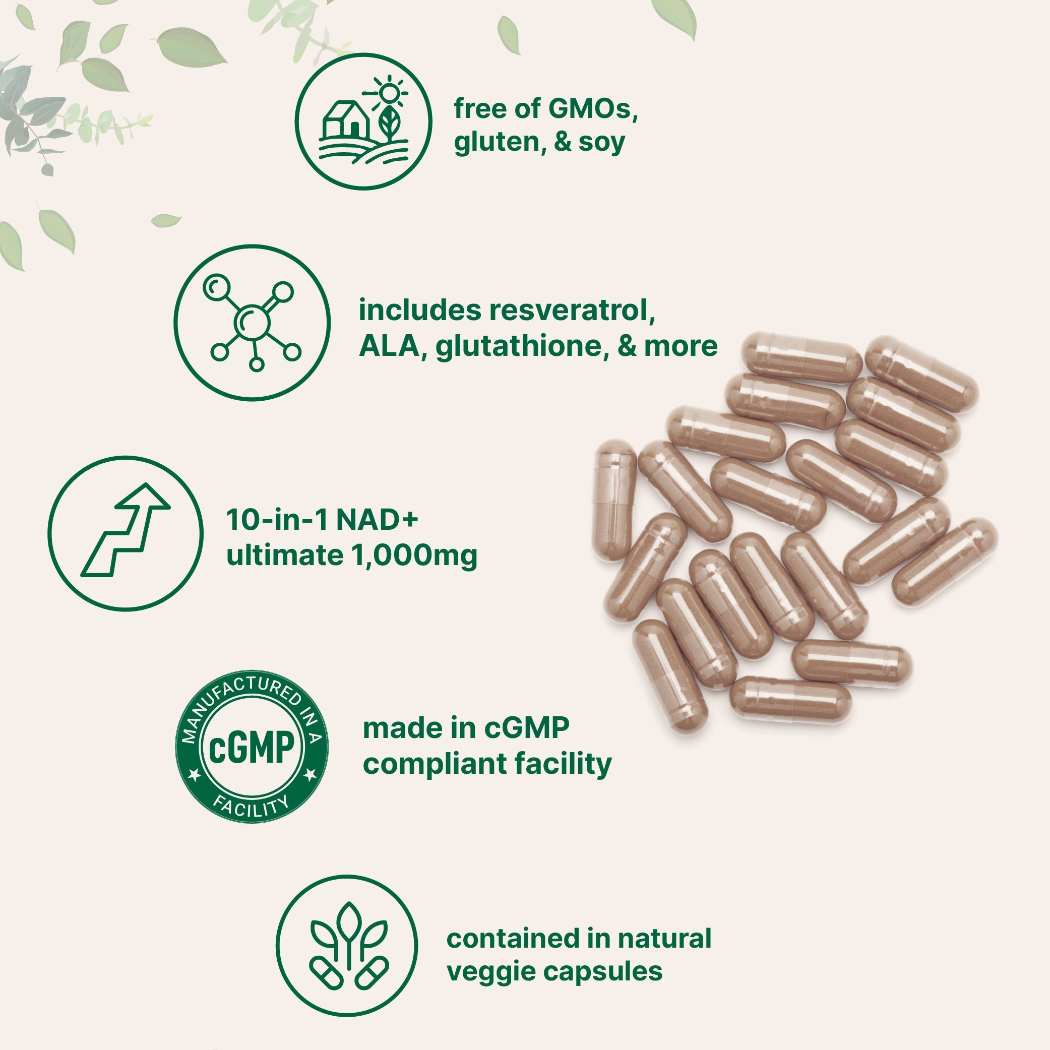 Micro Ingredients Liposomal NAD+ Ultimate 1,000mg, 60 Veggie Capsules