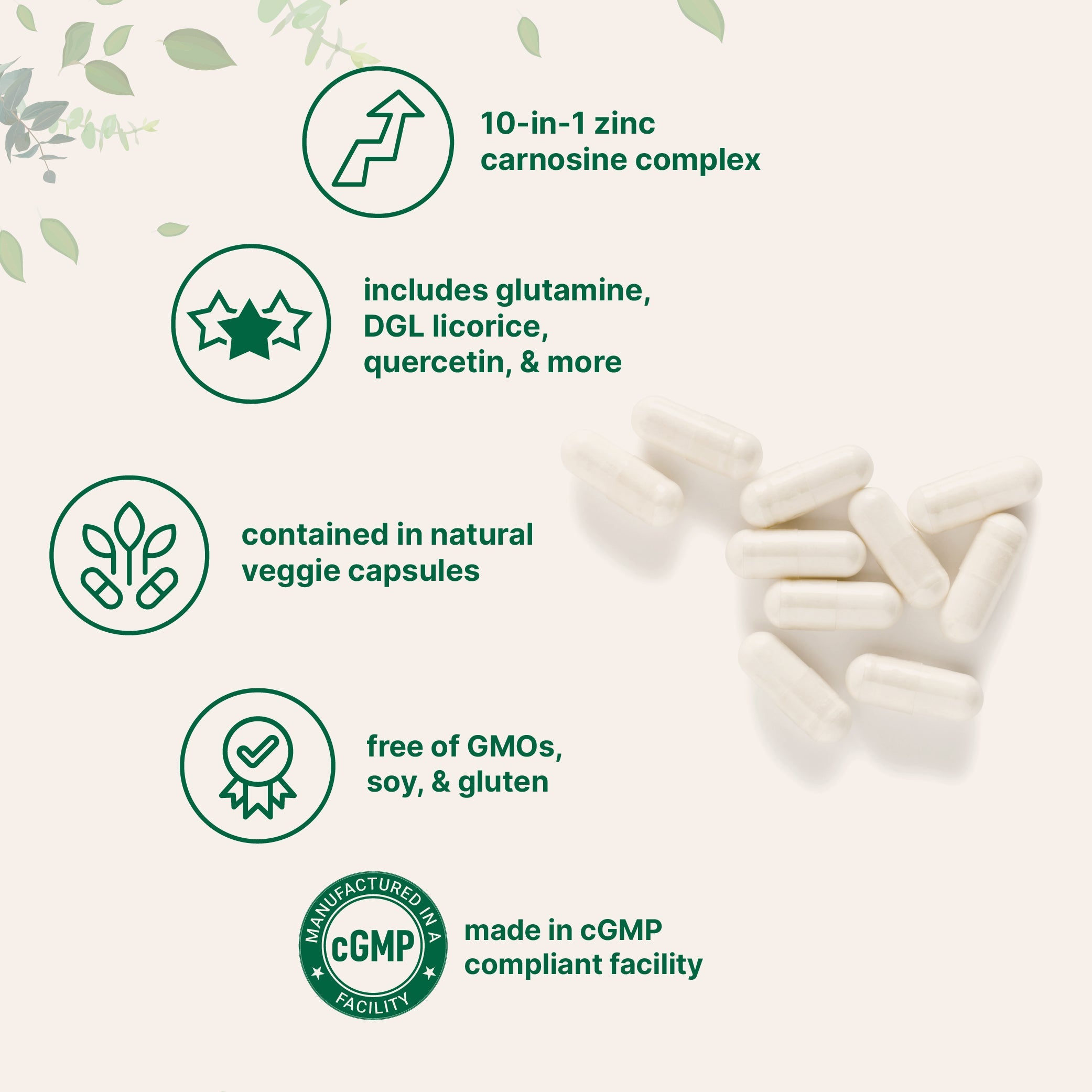 Micro Ingredients Zinc Carnosine 75mg, 240 Veggie Capsules