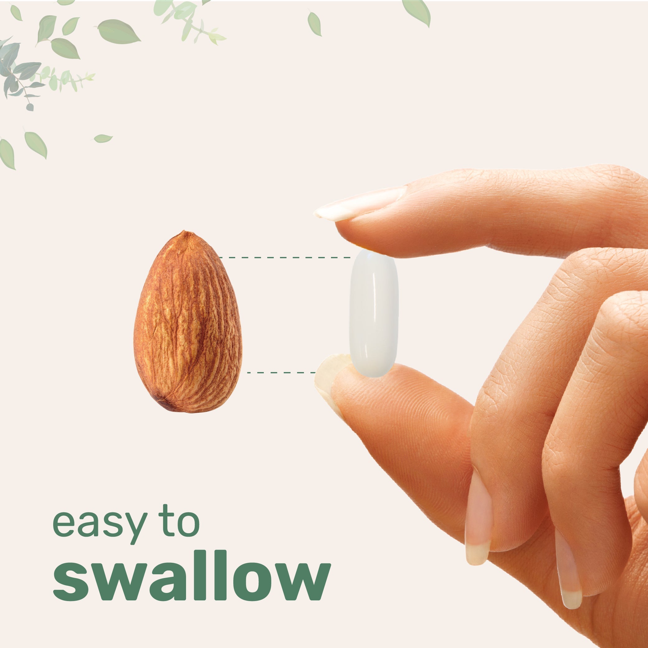 Micro Ingredients Zinc Picolinate 100mg with MCT Oil, 300 Softgels